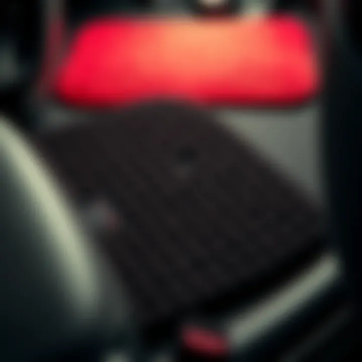 Magnificent The Aesthetic Appeal and Practical Functionality of Cute Floor Mats