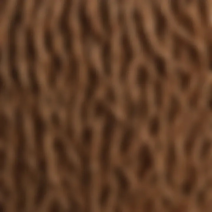 A close-up view of pre looped butterfly locs showcasing their intricate texture and design.