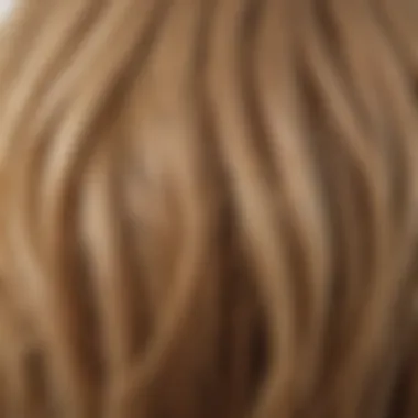 Quality Materials for Wigs Quality materials used in the fabrication of lace front wigs