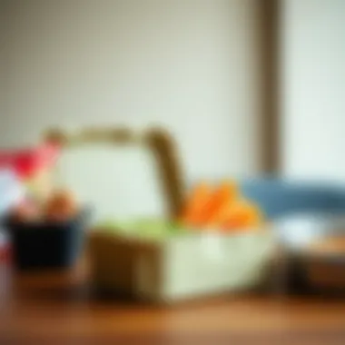 Exploring the Versatility of Collapsible Lunch Boxes Summary