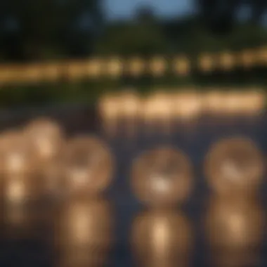 Close-up of solar string lights highlighting their design