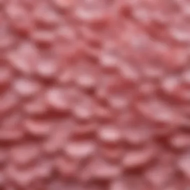 The Texture of Innovation in Fashion Close-up view showcasing the texture and material of waterproof breast petals.