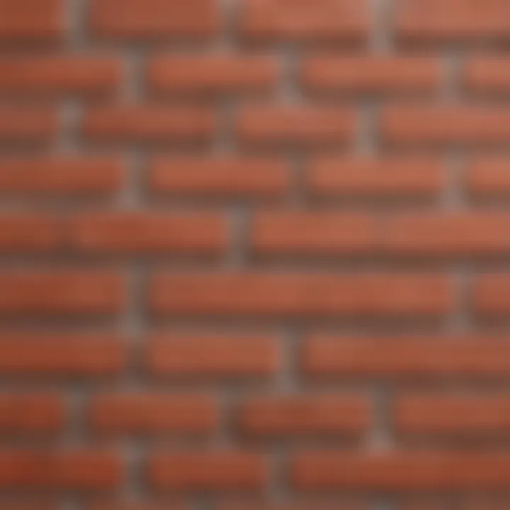 Close-up of red brick texture showcasing details