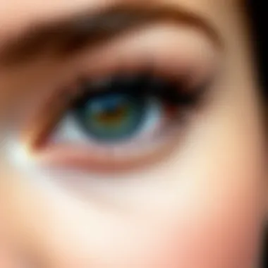 The Allure of 3D False Eyelashes Summary