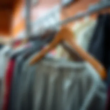 The Comprehensive Guide to Pants and Skirt Hangers Summary
