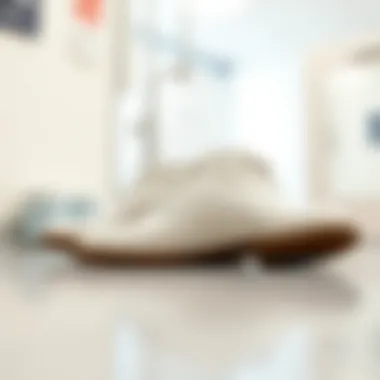 The Significance of White Leather Nurse Shoes in the Healthcare Industry Summary The Significance of White Leather Nurse Shoes in the Healthcare Industry Summary