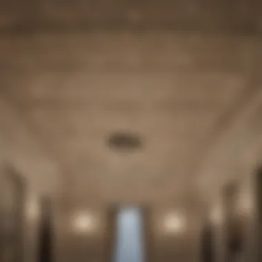 Twinkle Lights in Elegant Ceiling Design Elegant ceiling design illuminated with twinkle lights